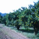 용마농장 이미지