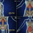 저스트코어 이미지
