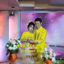 달베트남 이미지