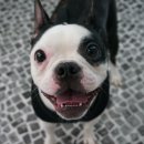 보스턴 호텔 이미지