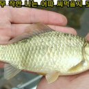찬물도랑 이미지