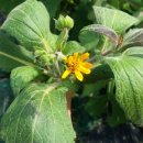 흥왕농장 이미지