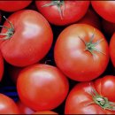 광진약국 이미지