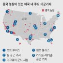 기지디자인 이미지