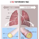 와이에스랩(YS Lab) | 환절기·미세먼지 호흡기 관리 3개월, 아침이 달라진 진짜 이유