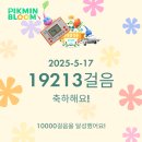 씰블루