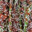 암소마당 이미지