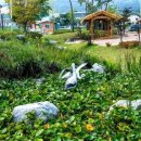 의좋은형제 공원 이미지