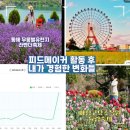 호수피드 | 피드메이커 결산, 여행 분야 2기 활동 후기