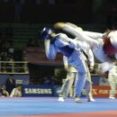 정원태권도 이미지