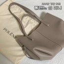 유로틴트 | 폴렌느 심 미니 포그 파리 매장 구매 이부진 가방 보부상