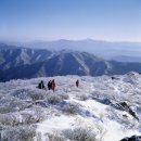 산친회 산악회 54차 덕유산 눈꽃산행 안내 이미지