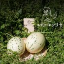 동춘농장 이미지