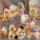 혁신로 | 원주 속눈썹 연장 맛집 혁신도시 블루밍 아이래쉬 추천 후기