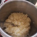 세렝게티 | [웨딩] 탄자니아 신혼여행 - 게임 드라이브 숙소 추천 세렝게티 쿠부쿠부 텐티드 롯지 후기