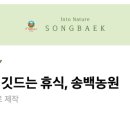 송백로-1 이미지