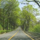 초가정 | 청남대 입장료 및 이용시간 + 청남대 당일입장 사전결제 + 청남대 골프장 &amp; 그늘집 &amp; 초가정 (2024년 4월)