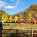 대야산 오토 캠핑장 이미지