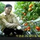 영순농장 이미지