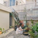 멋진세계 몬도마노 이미지