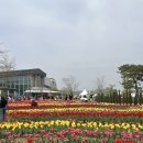 오성초등학교 | 🌸 평택 꽃나들이 축제 방문후기 (주차 꿀팁부터 현실 후기까지)