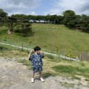 칠곡양떼목장 이미지