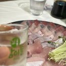 광어의전설 이미지