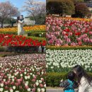 설봉공원(남문뒤) 화장실 | 울산대공원 남문 튤립 개화상태 | 남문 주차 꿀팁 , 근처 카페 스텝오버 후기