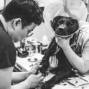 남산동물병원 이미지