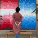 카페나무 이미지