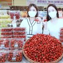 체리마트 이미지