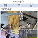 픽닷 - 서초구 반포대로28길 72 | 픽닷
