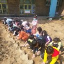 효탑초등학교 이미지