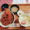 주식회사오아시스 | 일본 여행 준비 / 비에이 투어 삿포로 상품 비교