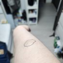 현대통통의원 이미지