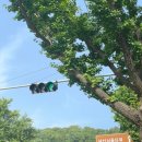 예술과 함께 방학여행 go~go 이미지