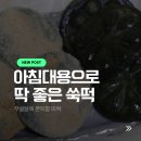 무설탕 쑥떡 추천 아침대용으로 딱 좋은 현미 쑥개떡 후기