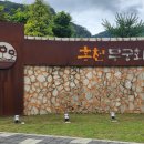 무궁화수목원 티스토리