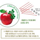 신선가스 이미지