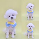 꼼꼼하개 이미지