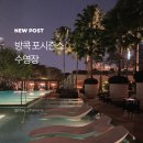 어딜강 | 방콕 포시즌스 수영장 후기, 짜오프라야강 뷰와 야경까지 만족했던 시간