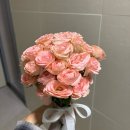 P-6210 | 그사순 부산 25년 11월 촬영 후기, 드레스 추천, 부케 소품 준비물 / 루미디아X, 지인 동행X, 레퍼런스X...