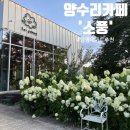 호야애견 | 양수리 꽃정원카페, 양평애견동반카페 소풍 솔직후기