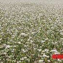 서상보건진료소 이미지