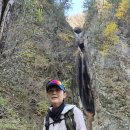 설악산 흘림골~주전골 단풍 이미지