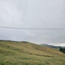 웰빙한우 이미지