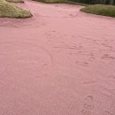 벙커구장 이미지