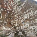 백운산민박 이미지