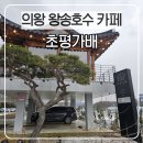 초평가배 이미지