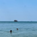 비즈호스텔 | [끄라비 여행] 7박 9일 2일차 | 아오낭 비치 수영, 패밀리 레스토랑, 분좋카, 웨딩 셀프 스냅